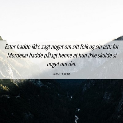 Picture 06 - Ester 2:10 NORSK - Ester hadde ikke sagt noget om sitt folk og sin - Bible Verse Picture