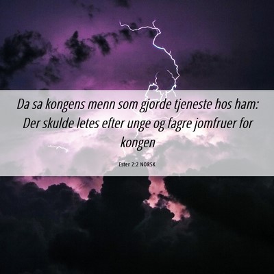 Picture 06 - Ester 2:2 NORSK - Da sa kongens menn som gjorde tjeneste hos ham: - Bible Verse Picture