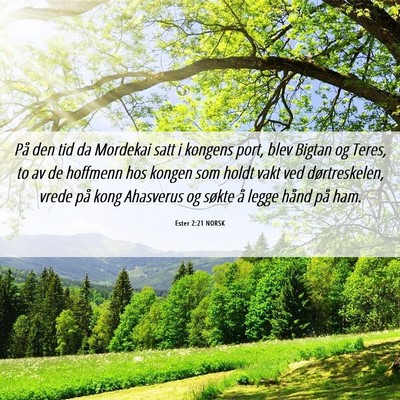 Picture 06 - Ester 2:21 NORSK - På den tid da Mordekai satt i kongens port, blev - Bible Verse Picture