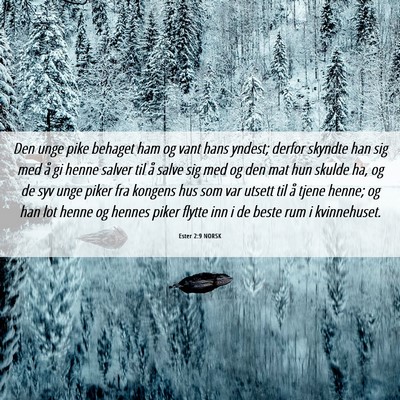 Picture 06 - Ester 2:9 NORSK - Den unge pike behaget ham og vant hans yndest; - Bible Verse Picture