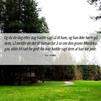 Picture 06 - Ester 3:4 NORSK - Og da de dag efter dag hadde sagt så til ham, og - Bible Verse Picture