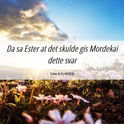 Picture 06 - Ester 4:15 NORSK - Da sa Ester at det skulde gis Mordekai dette - Bible Verse Picture