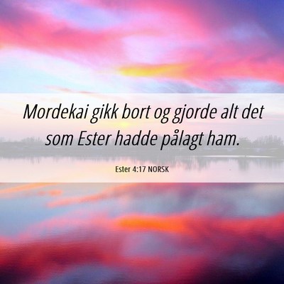 Picture 06 - Ester 4:17 NORSK - Mordekai gikk bort og gjorde alt det som Ester - Bible Verse Picture