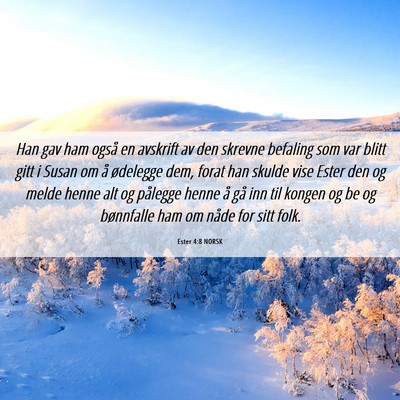 Picture 06 - Ester 4:8 NORSK - Han gav ham også en avskrift av den skrevne - Bible Verse Picture