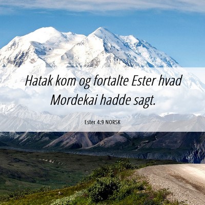 Picture 06 - Ester 4:9 NORSK - Hatak kom og fortalte Ester hvad Mordekai hadde - Bible Verse Picture