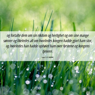 Picture 06 - Ester 5:11 NORSK - og fortalte dem om sin rikdom og herlighet og om - Bible Verse Picture