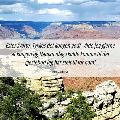 Picture 06 - Ester 5:4 NORSK - Ester svarte: Tykkes det kongen godt, vilde jeg - Bible Verse Picture
