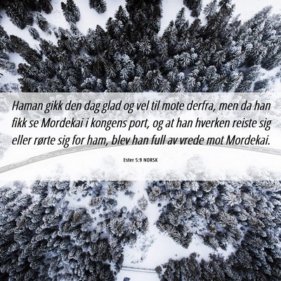 Picture 06 - Ester 5:9 NORSK - Haman gikk den dag glad og vel til mote derfra, - Bible Verse Picture
