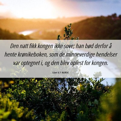 Picture 06 - Ester 6:1 NORSK - Den natt fikk kongen ikke sove; han bød derfor - Bible Verse Picture