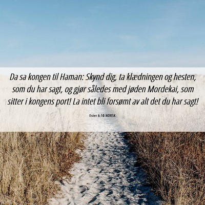 Picture 06 - Ester 6:10 NORSK - Da sa kongen til Haman: Skynd dig, ta klædningen - Bible Verse Picture