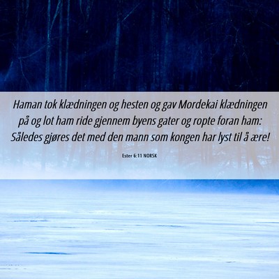 Picture 06 - Ester 6:11 NORSK - Haman tok klædningen og hesten og gav Mordekai - Bible Verse Picture