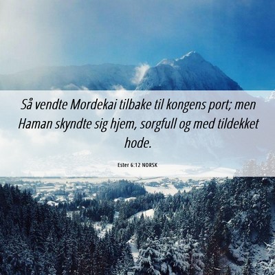 Picture 06 - Ester 6:12 NORSK - Så vendte Mordekai tilbake til kongens port; men - Bible Verse Picture