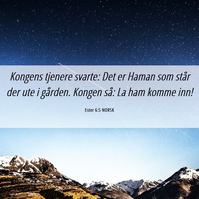 Picture 06 - Ester 6:5 NORSK - Kongens tjenere svarte: Det er Haman som står - Bible Verse Picture