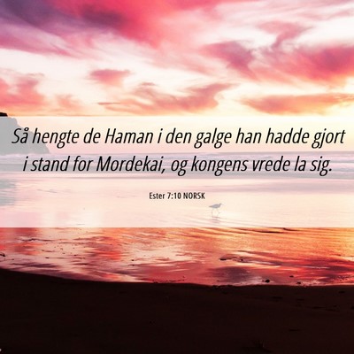 Picture 06 - Ester 7:10 NORSK - Så hengte de Haman i den galge han hadde gjort i - Bible Verse Picture