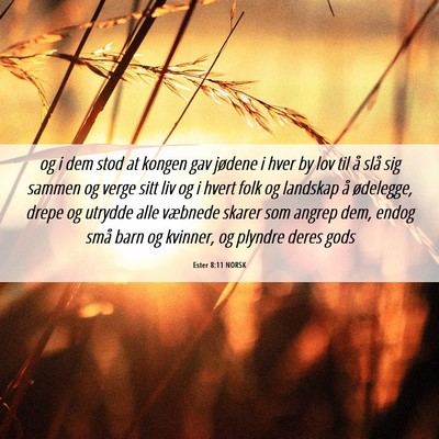 Picture 06 - Ester 8:11 NORSK - og i dem stod at kongen gav jødene i hver by lov - Bible Verse Picture