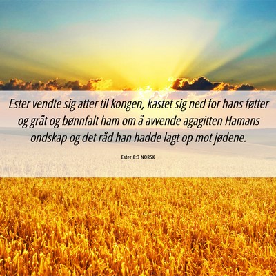 Picture 06 - Ester 8:3 NORSK - Ester vendte sig atter til kongen, kastet sig ned - Bible Verse Picture