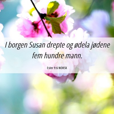 Picture 06 - Ester 9:6 NORSK - I borgen Susan drepte og ødela jødene fem - Bible Verse Picture