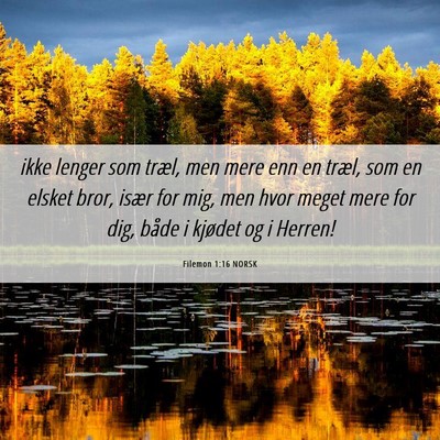 Picture 06 - Filemon 1:16 NORSK - ikke lenger som træl, men mere enn en træl, som - Bible Verse Picture