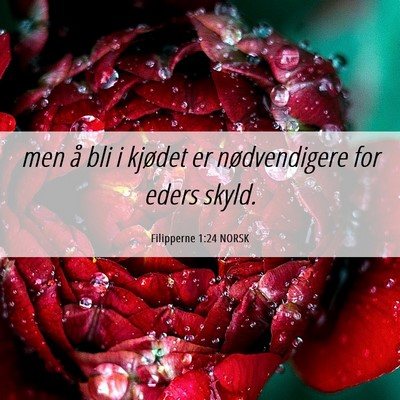Picture 06 - Filipperne 1:24 NORSK - men å bli i kjødet er nødvendigere for eders - Bible Verse Picture