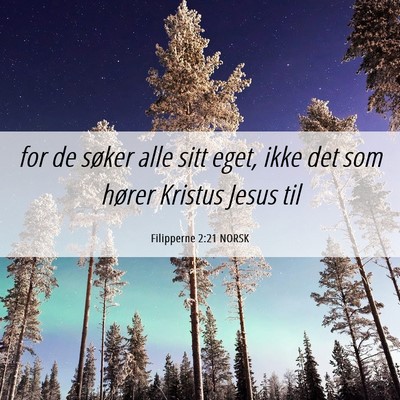 Picture 06 - Filipperne 2:21 NORSK - for de søker alle sitt eget, ikke det som hører - Bible Verse Picture
