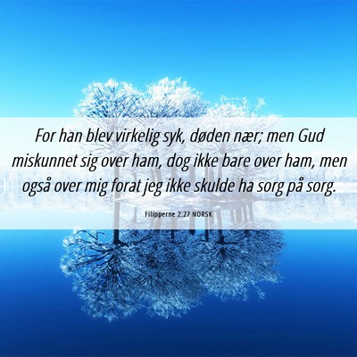 Picture 06 - Filipperne 2:27 NORSK - For han blev virkelig syk, døden nær; men Gud - Bible Verse Picture