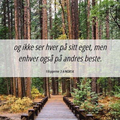 Picture 06 - Filipperne 2:4 NORSK - og ikke ser hver på sitt eget, men enhver også - Bible Verse Picture