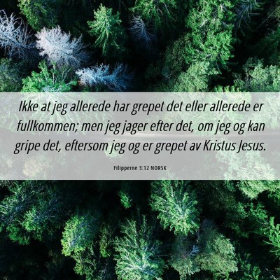 Picture 06 - Filipperne 3:12 NORSK - Ikke at jeg allerede har grepet det eller - Bible Verse Picture