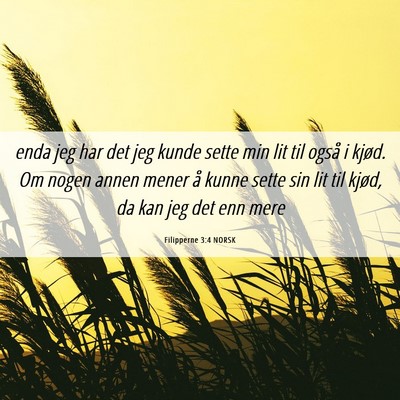 Picture 06 - Filipperne 3:4 NORSK - enda jeg har det jeg kunde sette min lit til - Bible Verse Picture