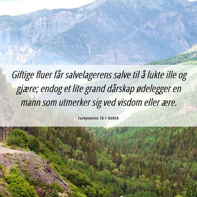 Picture 06 - Forkynneren 10:1 NORSK - Giftige fluer får salvelagerens salve til å - Bible Verse Picture