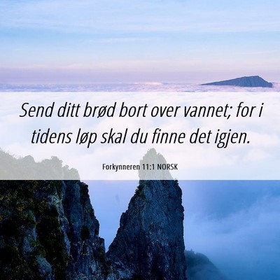 Picture 06 - Forkynneren 11:1 NORSK - Send ditt brød bort over vannet; for i tidens - Bible Verse Picture