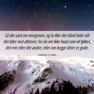 Picture 06 - Forkynneren 11:6 NORSK - Så din sæd om morgenen, og la ikke din hånd - Bible Verse Picture