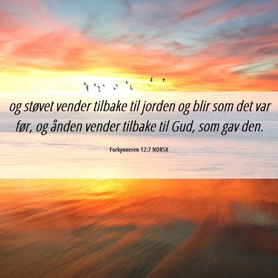 Picture 06 - Forkynneren 12:7 NORSK - og støvet vender tilbake til jorden og blir som - Bible Verse Picture