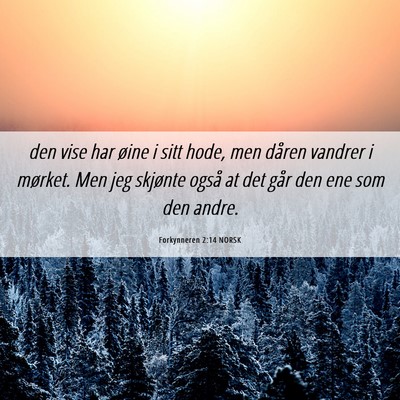 Picture 06 - Forkynneren 2:14 NORSK - den vise har øine i sitt hode, men dåren - Bible Verse Picture