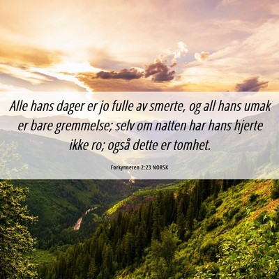Picture 06 - Forkynneren 2:23 NORSK - Alle hans dager er jo fulle av smerte, og all - Bible Verse Picture