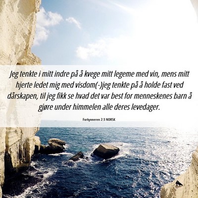 Picture 06 - Forkynneren 2:3 NORSK - Jeg tenkte i mitt indre på å kvege mitt legeme - Bible Verse Picture