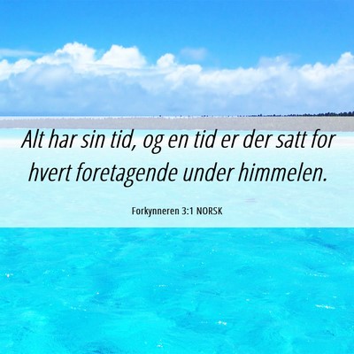 Picture 06 - Forkynneren 3:1 NORSK - Alt har sin tid, og en tid er der satt for hvert - Bible Verse Picture