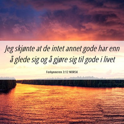Picture 06 - Forkynneren 3:12 NORSK - Jeg skjønte at de intet annet gode har enn å - Bible Verse Picture