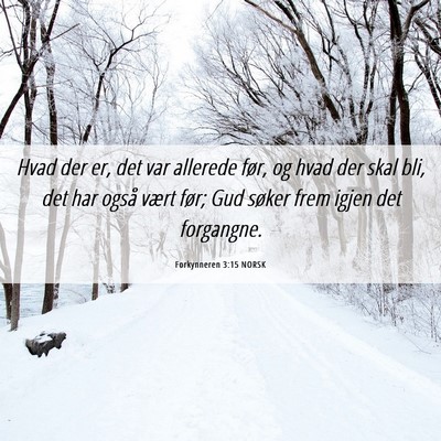Picture 06 - Forkynneren 3:15 NORSK - Hvad der er, det var allerede før, og hvad der - Bible Verse Picture