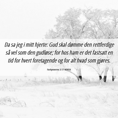 Picture 06 - Forkynneren 3:17 NORSK - Da sa jeg i mitt hjerte: Gud skal dømme den - Bible Verse Picture