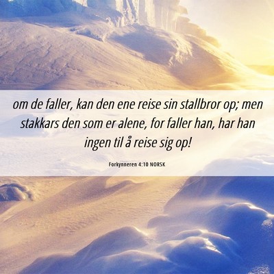 Picture 06 - Forkynneren 4:10 NORSK - om de faller, kan den ene reise sin stallbror op; - Bible Verse Picture
