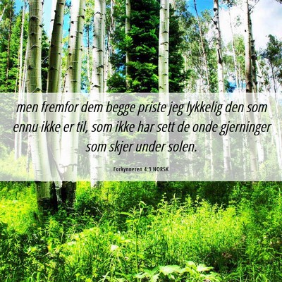 Picture 06 - Forkynneren 4:3 NORSK - men fremfor dem begge priste jeg lykkelig den som - Bible Verse Picture