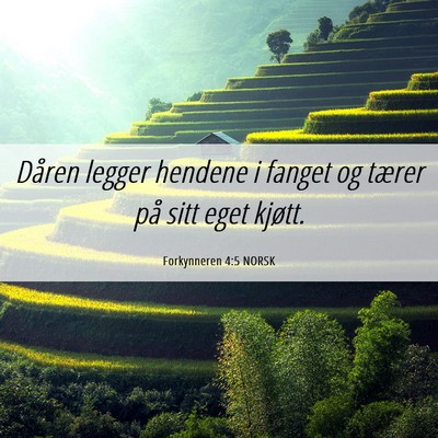 Picture 06 - Forkynneren 4:5 NORSK - Dåren legger hendene i fanget og tærer på sitt - Bible Verse Picture