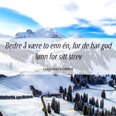 Picture 06 - Forkynneren 4:9 NORSK - Bedre å være to enn én, for de har god lønn - Bible Verse Picture