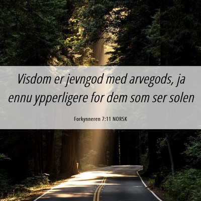 Picture 06 - Forkynneren 7:11 NORSK - Visdom er jevngod med arvegods, ja ennu - Bible Verse Picture