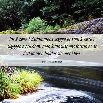 Picture 06 - Forkynneren 7:12 NORSK - for å være i visdommens skygge er som å være - Bible Verse Picture