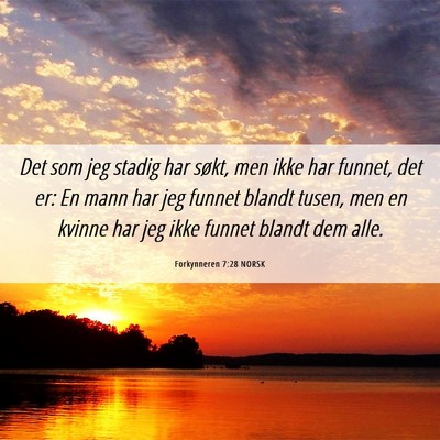 Picture 06 - Forkynneren 7:28 NORSK - Det som jeg stadig har søkt, men ikke har - Bible Verse Picture
