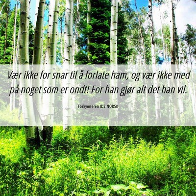 Picture 06 - Forkynneren 8:3 NORSK - Vær ikke for snar til å forlate ham, og vær - Bible Verse Picture