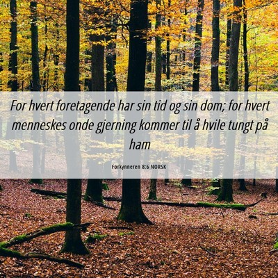 Picture 06 - Forkynneren 8:6 NORSK - For hvert foretagende har sin tid og sin dom; for - Bible Verse Picture