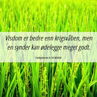 Picture 06 - Forkynneren 9:18 NORSK - Visdom er bedre enn krigsvåben, men en synder - Bible Verse Picture