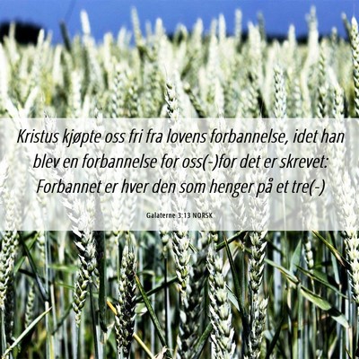Picture 06 - Galaterne 3:13 NORSK - Kristus kjøpte oss fri fra lovens forbannelse, - Bible Verse Picture